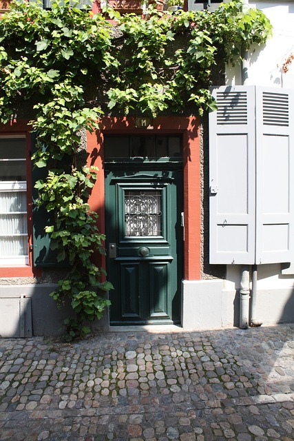 De deur als designstatement: voordeuren die karakter geven aan je woning